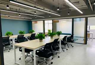 珠海定制艺术家服务经验丰富